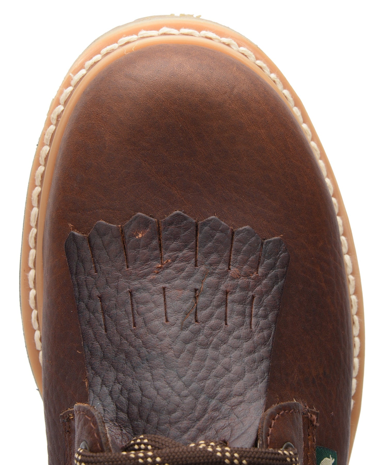 Shell Collection – King Welt